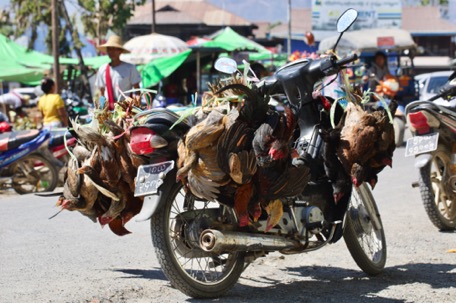 es ist Markt-Tag in Nyaung-Shwe