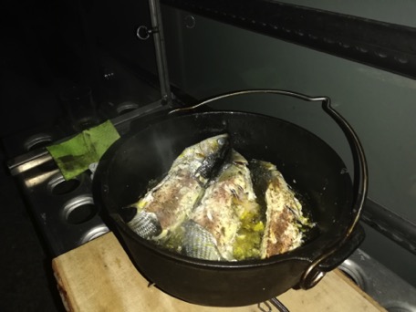 Yammi Yammi
