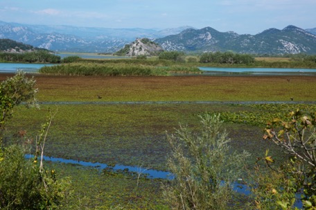 der See aus der Nähe der See aus der Nähe