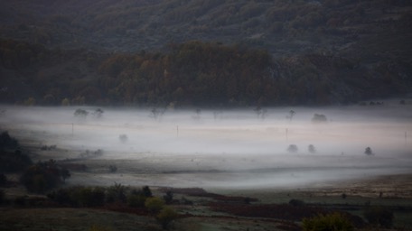 ... mit mystischen Morgenstimmungen ... mit mystischen Morgenstimmungen