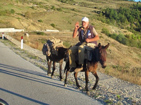 zurück in Albanien