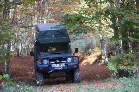 ... we spend the night protected under a roof of leaves :-))