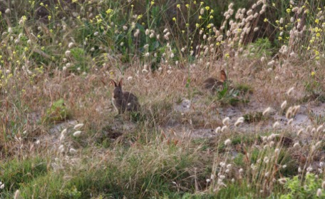 they are all over :-) they are all over :-)