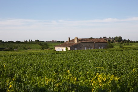 of course we make a stop-over in Saint-Emilion :-))