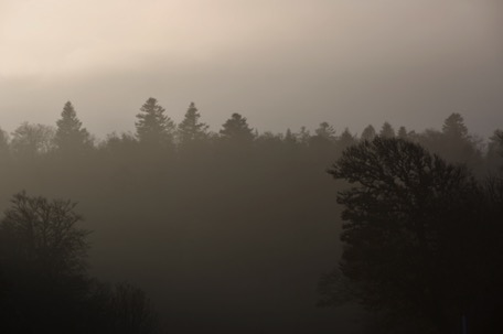 wir geniessen mystische Stimmungen ... wir geniessen mystische Stimmungen ...