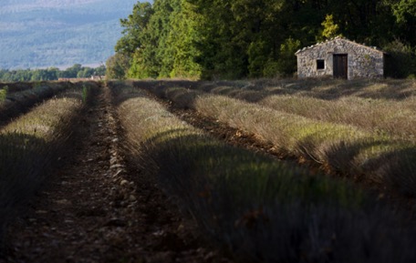 ... Richtung Provence ... Richtung Provence