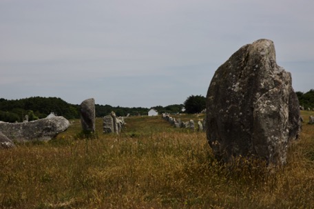 ... zieren die Landschaft, die Wissenschaft ist ratlos über deren Bedeutung ... zieren die Landschaft, die Wissenschaft ist ratlos über deren Bedeutung