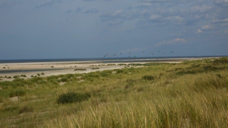 am endlosen Sandstrand von ...