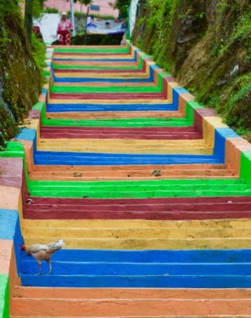 to the nutmeg-plantation we have to climb some stairs to the nutmeg-plantation we have to climb some stairs
