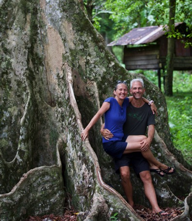 huge Kenare-trees are planted for shade