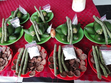 in Papua betelnut is eaten everywhere