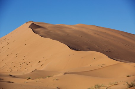 die Rückkehr nach Merzouga ist Pflicht