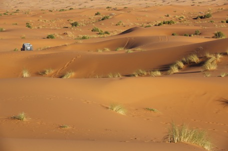 wir wagen uns in die Dünen rein wir wagen uns in die Dünen rein