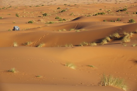 wir wagen uns in die Dünen rein