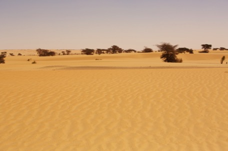 ... weiter geht's auf Sand nach ... ... weiter geht's auf Sand nach ...