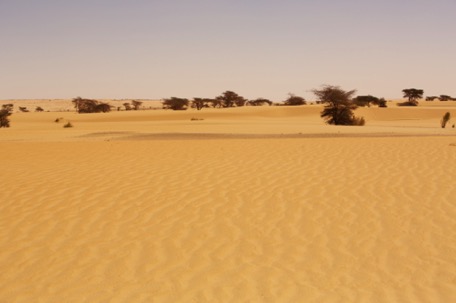 ... weiter geht's auf Sand nach ...