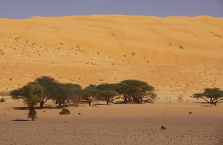 ... wir verlassen den Rand des Erg Maqteir Richtung ... ... wir verlassen den Rand des Erg Maqteir Richtung ...