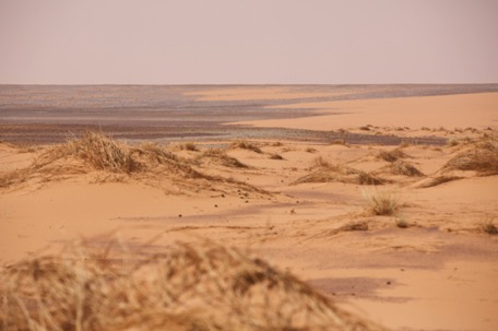 ... dann 25 km mühsam durch Weichsand mit Büschen bis ...