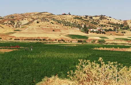 ... through the Rif-mountains - very green :-))