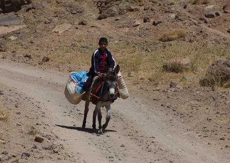 ... meaning of transport Nr. 1 ... meaning of transport Nr. 1