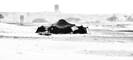 a sandstorm approaches, we come back tomorrow a sandstorm approaches, we come back tomorrow