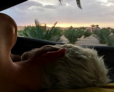 Waking up with the sight of the dunes - it hardly get's better