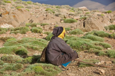 ... in Morocco you're never really alone, not even on this altitude ;-)