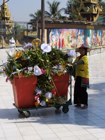 ... re-used, they are thrown away in Myanmar