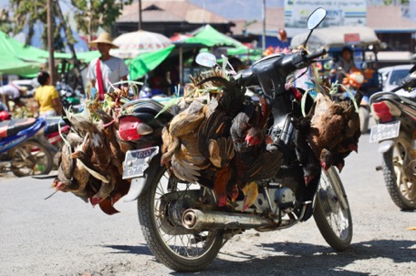 it's market day in Nyaung-Shwe