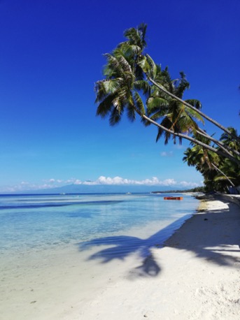 wir fahren auf die Hexen-Insel Siquijor ...