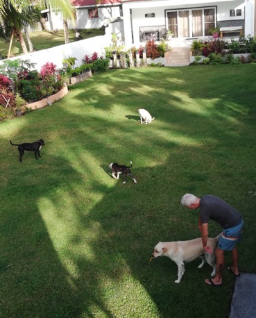 inkl. 3-4 Hunde :-)) inkl. 3-4 Hunde :-))