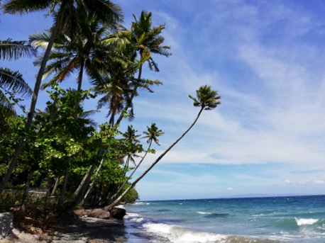 ... Paradise :-)) ... Paradise :-))