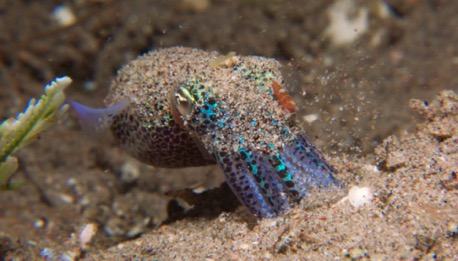 bye bye Philippinen, wir hatten ein grossartige Zeit bye bye Philippinen, wir hatten ein grossartige Zeit