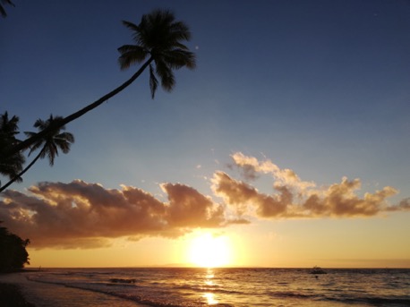 Dawn, today we have to say goodbye ... Dawn, today we have to say goodbye ...