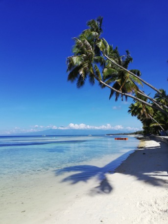 we visit Siquijor, the witch-island ...