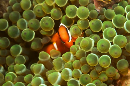 ... at a fantastic dive-place directly in front of the door