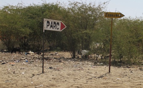 ... Zebrabar-Camping sei ein Muss, hat man uns gesagt ... ... Zebrabar-Camping sei ein Muss, hat man uns gesagt ...