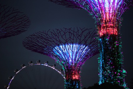 Gardens by the bay