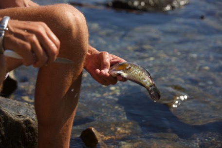 a Harpune-fisher shares his catch with us ... a Harpune-fisher shares his catch with us ...