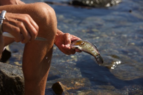 a Harpune-fisher shares his catch with us ...