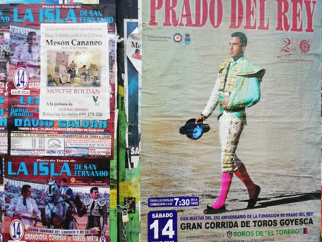 Spain - Home of Flamenco and  bull-fighting ...