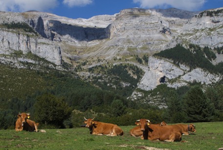 ... im dortigen Teil des Nationalparks Ordesa ... ... im dortigen Teil des Nationalparks Ordesa ...