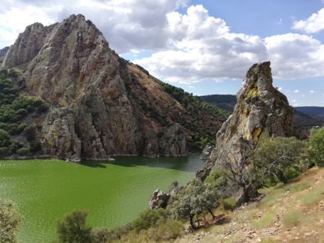 im Monfragüe Nationalpark machen wir Begegnungen der besonderen Art