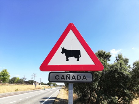 ... wir wussten nicht, dass Canada so nah ist ;-) ... wir wussten nicht, dass Canada so nah ist ;-)